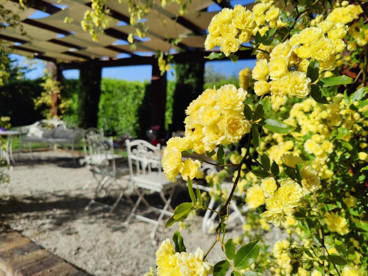 Ca' Le Cerque, Villa Surrounded By The Marche Nature Fossombrone Exterior foto