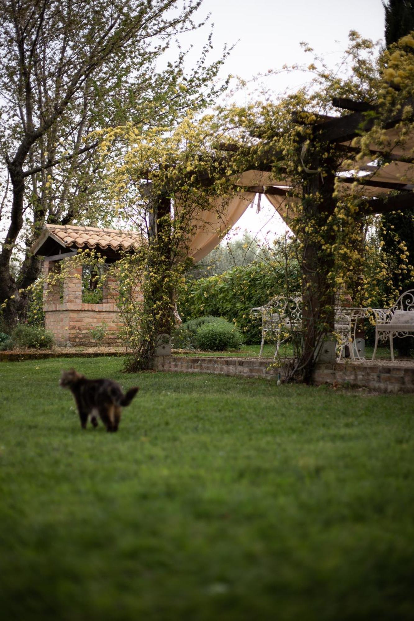 Ca' Le Cerque, Villa Surrounded By The Marche Nature Fossombrone Exterior foto